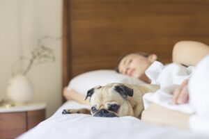 Woman and dog taking a nap